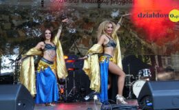 Qbik, Szulerzy, Rozes, Tulinki i Maraquja – muzyczna uczta