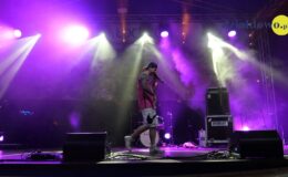 Qbik, Szulerzy, Rozes, Tulinki i Maraquja – muzyczna uczta