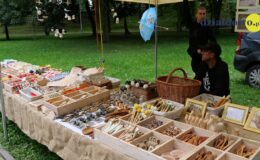 Tak bawiliśmy się podczas Jarmarku i Zlotu Pojazdów Zabytkowych