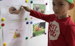 Cittaslow w Zespole Placówek Oświatowych nr 4 Przedszkolu nr 4 w Działdowie