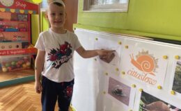 Cittaslow w Zespole Placówek Oświatowych nr 4 Przedszkolu nr 4 w Działdowie