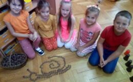 Cittaslow w Zespole Placówek Oświatowych nr 4 Przedszkolu nr 4 w Działdowie