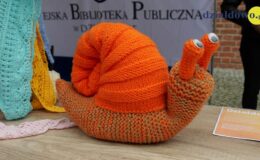Turniej Rycerki i inne atrakcje
