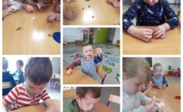 Cittaslow w Zespole Placówek Oświatowych nr 4 Przedszkolu nr 4 w Działdowie