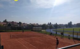 Turniej tenisa ziemnego w grze pojedynczej tenisa ziemnego