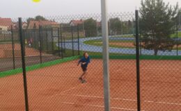 Turniej tenisa ziemnego w grze pojedynczej tenisa ziemnego
