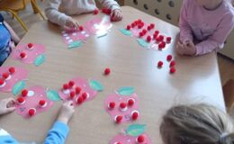 Projekt badawczy jabłko