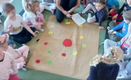 Projekt badawczy jabłko