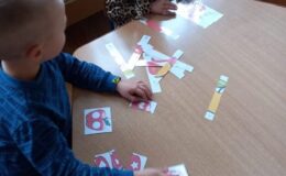 Projekt badawczy jabłko