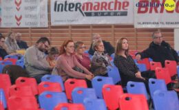 Platynowy Słowik poleciał do Czeladzi. Grand Prix zdobyła Julia Biłek