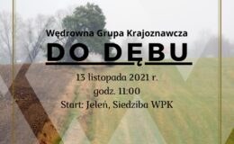 Wędrowna Grupa Krajoznawcza - Do Dębu