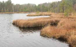 Ostatnie wyjście w tym roku z Wędrowną Grupą Krajoznawczą WPK