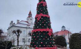 Przed Ratuszem w Działdowie stoi już choinka [zdjęcia, film]