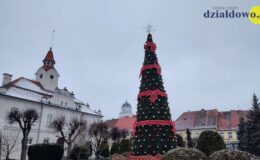 Przed Ratuszem w Działdowie stoi już choinka