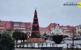 Przed Ratuszem w Działdowie stoi już choinka