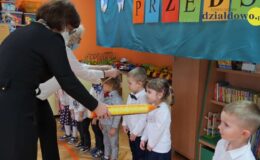 Jagódki pasowane na przedszkolaków