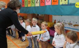 Jagódki pasowane na przedszkolaków