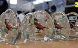 Platynowy Słowik poleciał do Czeladzi. Grand Prix zdobyła Julia Biłek