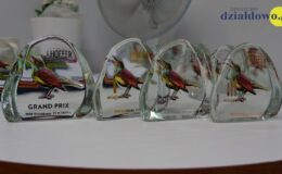 Platynowy Słowik poleciał do Czeladzi. Grand Prix zdobyła Julia Biłek
