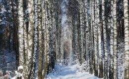 Wyniki Konkursu Fotograficznego: „Przyroda powiatu działdowskiego w barwach czterech pór roku”