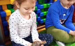 Ślimaki afrykańskie i żółw lamparci w Przedszkolu nr 3