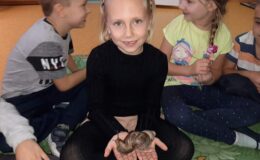 Ślimaki afrykańskie i żółw lamparci w Przedszkolu nr 3