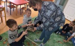 Ślimaki afrykańskie i żółw lamparci w Przedszkolu nr 3