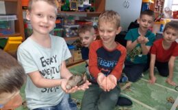 Ślimaki afrykańskie i żółw lamparci w Przedszkolu nr 3