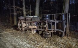 Samochód dostawczy uderzył w drzewo