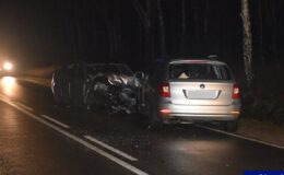 Czołowe zderzenie bmw i skody