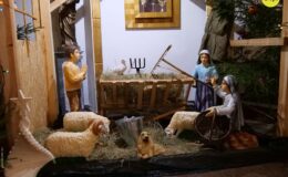 Koncert kolę „Daj nam Boże Dziecię, pokój na tym świcie”