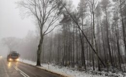 Tydzień strażaków