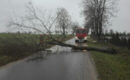 Strażacy interweniowali aż 60 razy