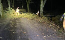 152 interwencje Straży Pożarnej w ubiegłym tygodniu, a od początku roku 325