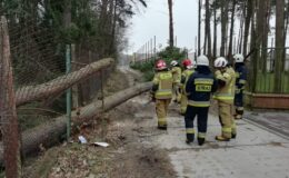 152 interwencje Straży Pożarnej w ubiegłym tygodniu, a od początku roku 325