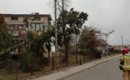 152 interwencje Straży Pożarnej w ubiegłym tygodniu, a od początku roku 325