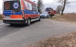 Straż pożarna: podsumowanie tygodnia (21.03.2022 -27.03.2022)