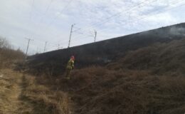 Straż pożarna: podsumowanie tygodnia (21.03.2022 -27.03.2022)
