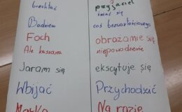 Obchody Międzynarodowego Dnia Języka Ojczystego  w Szkole Podstawowej nr 2 w Działdowie