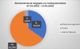 Strażacy podsumowali tydzień – 415 interwencji od początku roku