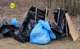 Akcja PGKiM. Sprzątanie lasu, zbiórka opon i zakrętek