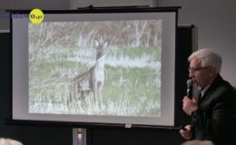Zapraszamy na wystawę fotografii Ryszarda Makszyńskiego