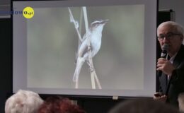 Zapraszamy na wystawę fotografii Ryszarda Makszyńskiego