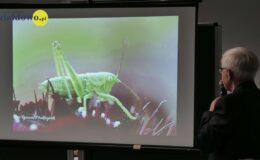 Zapraszamy na wystawę fotografii Ryszarda Makszyńskiego