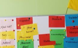 Festiwal Nauki w Szkole Podstawowej nr 4