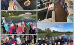 Biedronki z Przedszkola nr 4 brały udział w projekcie „WYZWANIA TEODORA”
