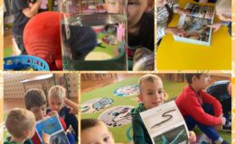 Biedronki z Przedszkola nr 4 brały udział w projekcie „WYZWANIA TEODORA”