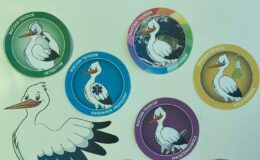 Biedronki z Przedszkola nr 4 brały udział w projekcie „WYZWANIA TEODORA”