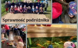 Biedronki z Przedszkola nr 4 brały udział w projekcie „WYZWANIA TEODORA”
