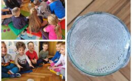 Biedronki z Przedszkola nr 4 brały udział w projekcie „WYZWANIA TEODORA”